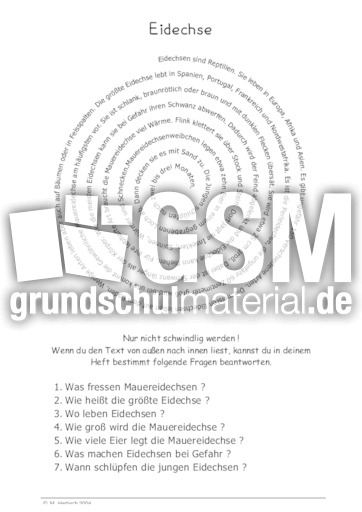 Eidechse.pdf
